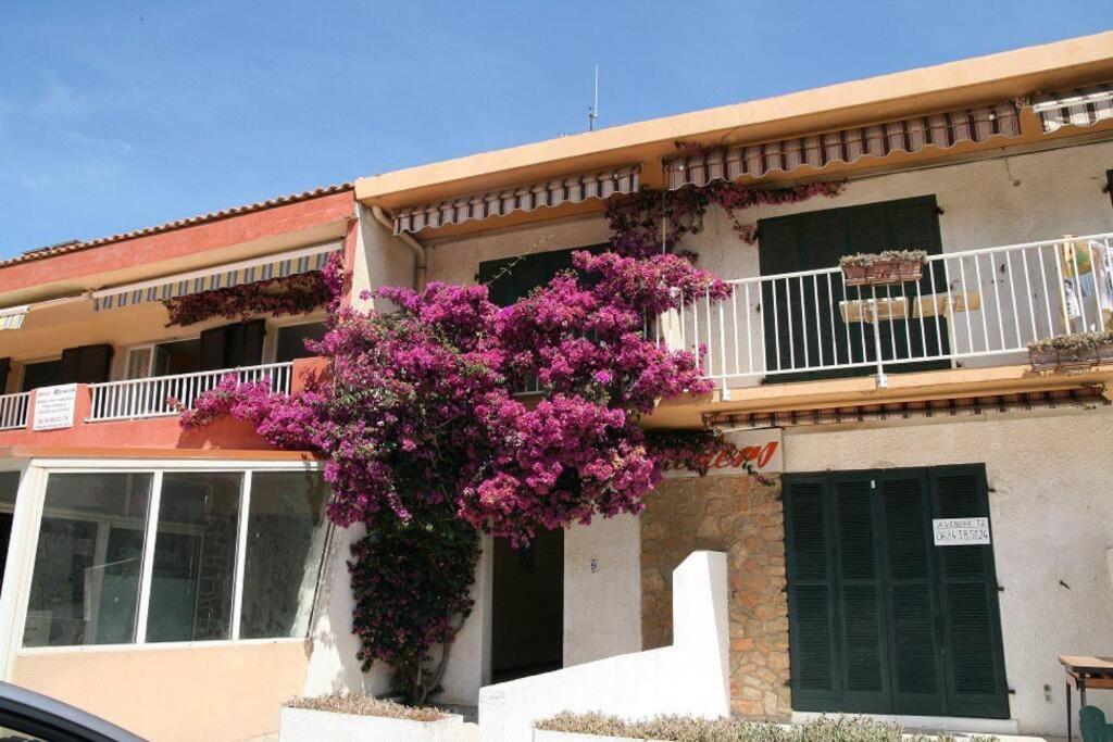 Appart Hyeres-Presqu'Ile De Giens-La Capte Exterior foto